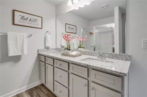 Bath - 159 Belldown Ct, Mcdonough, GA 30253 photo 3 of 6