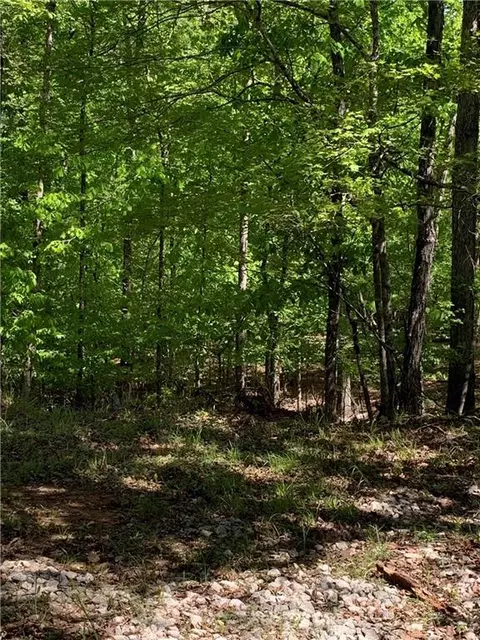 0 Frontier Dr, Sparta, GA 31087 photo 16