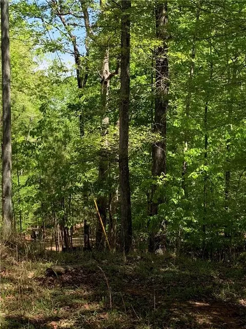 0 Frontier Dr, Sparta, GA 31087 photo 17