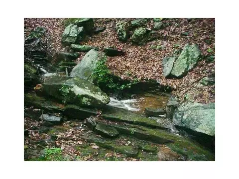 1108 Oglethorpe Mountain Rd, Jasper, GA 30143 photo 4