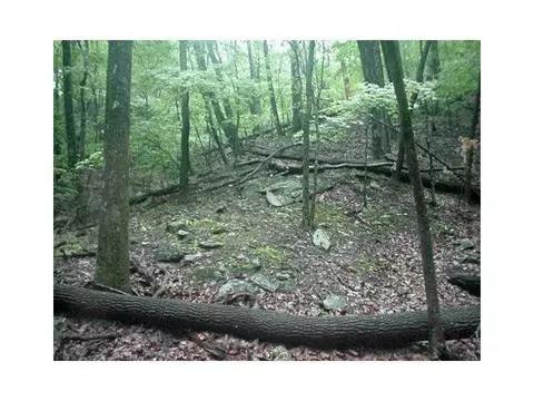 1108 Oglethorpe Mountain Rd, Jasper, GA 30143 photo 6