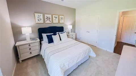 674 Edgar St, Hampton, GA 30228 photo 23