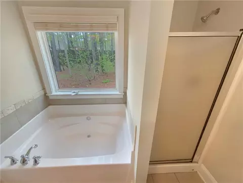 Bath - 1415 Turnbridge Walk, Hampton, GA 30228 photo 1 of 3