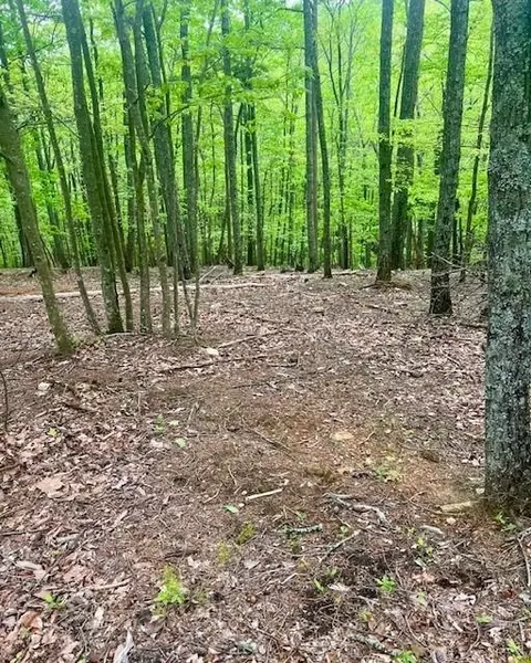 0 Oglethorpe Mountain Rd, Jasper, GA 30143 photo 5