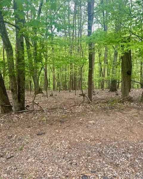 0 Oglethorpe Mountain Rd, Jasper, GA 30143 photo 7