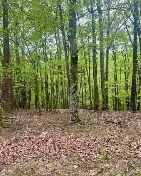 0 Oglethorpe Mountain Rd, Jasper, GA 30143 photo 2