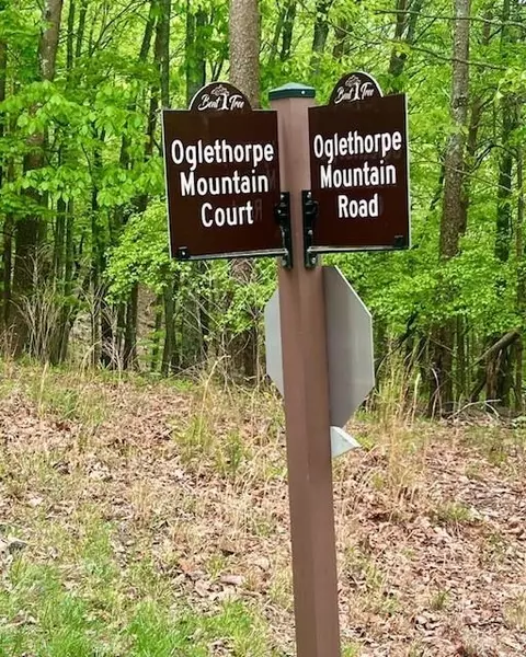 0 Oglethorpe Mountain Rd, Jasper, GA 30143 photo 8