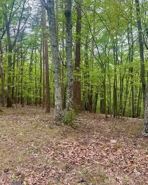 0 Oglethorpe Mountain Rd, Jasper, GA 30143 photo 3