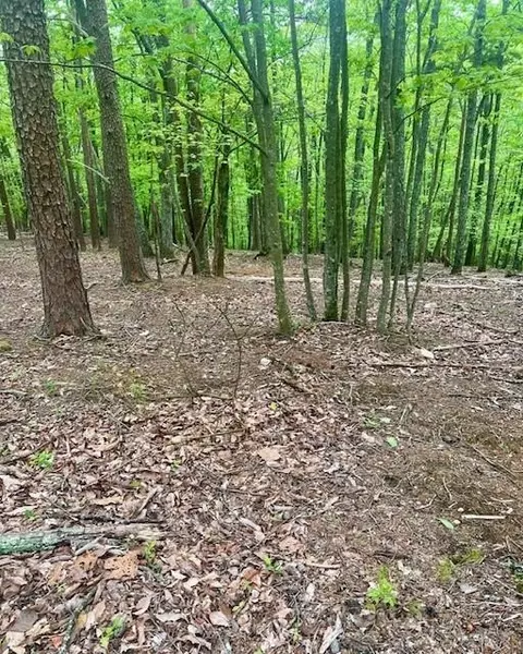 0 Oglethorpe Mountain Rd, Jasper, GA 30143 photo 6
