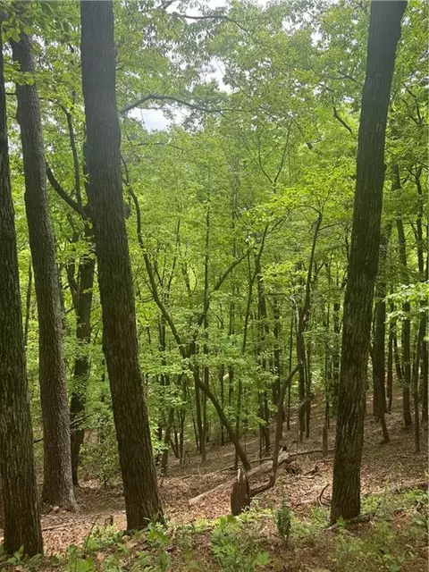 6388 Valley View Dr, Big Canoe, GA 30143