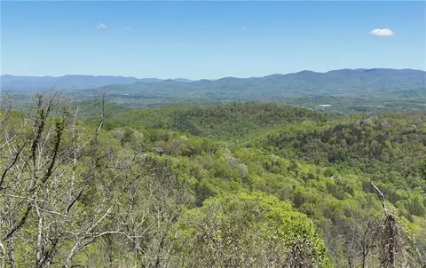 251 Blood Root Trl, Ellijay, GA 30536
