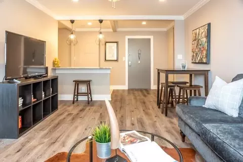 215 Piedmont Ave NE #1008, Atlanta, GA 30308