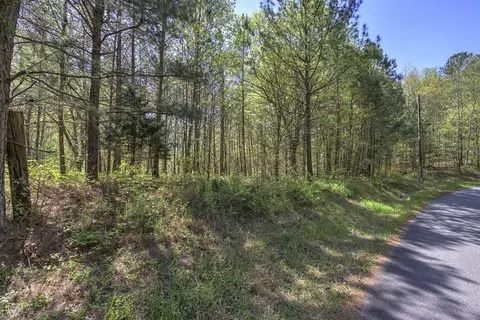 5 Johnson Mountain Rd, Rydal, GA 30171 photo 23