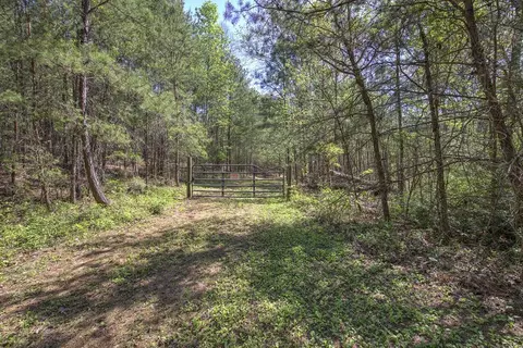 5 Johnson Mountain Rd, Rydal, GA 30171 photo 27
