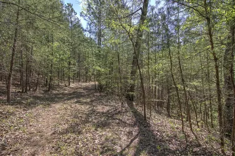 5 Johnson Mountain Rd, Rydal, GA 30171 photo 19