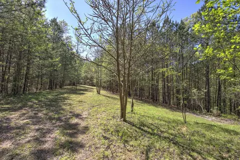 5 Johnson Mountain Rd, Rydal, GA 30171 photo 17
