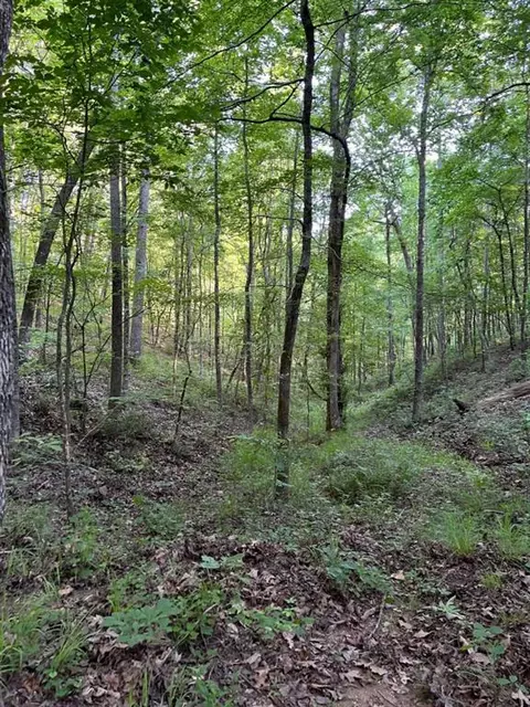 5 Johnson Mountain Rd, Rydal, GA 30171 photo 18