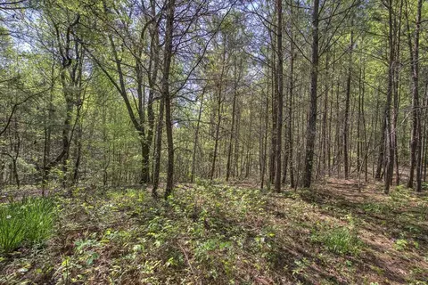 5 Johnson Mountain Rd, Rydal, GA 30171 photo 25