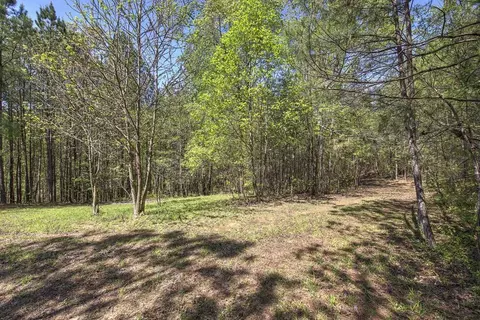 5 Johnson Mountain Rd, Rydal, GA 30171 photo 15