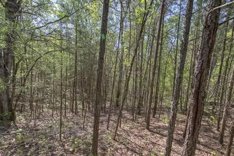 5 Johnson Mountain Rd, Rydal, GA 30171 photo 20