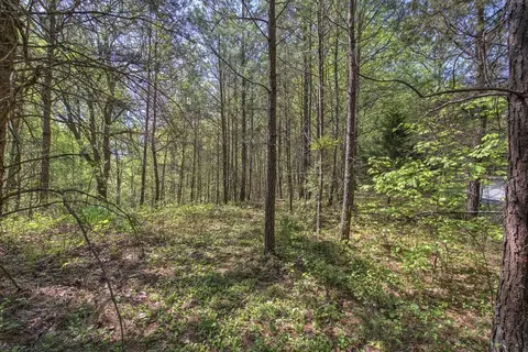 5 Johnson Mountain Rd, Rydal, GA 30171 photo 24