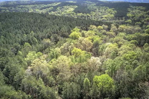 5 Johnson Mountain Rd, Rydal, GA 30171 photo 32