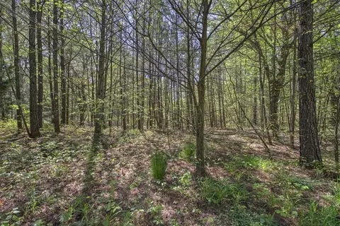 5 Johnson Mountain Rd, Rydal, GA 30171 photo 22