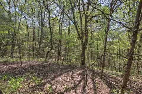 5 Johnson Mountain Rd, Rydal, GA 30171 photo 26