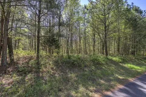 5 Johnson Mountain Rd, Rydal, GA 30171 photo 21