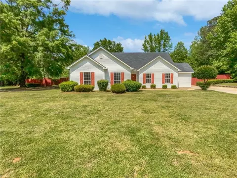 133 Stanfield Ct, Hampton, GA 30228 photo 21