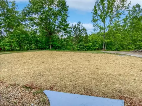 133 Stanfield Ct, Hampton, GA 30228 photo 17