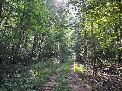 0 Fire Mountain Rd, Cedartown, GA 30125