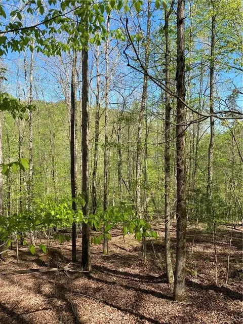 L409 Summit Lane, Ellijay, GA 30536