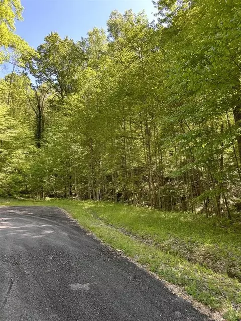 lot25 Goldmine Gap Rd, Ellijay, GA 30536