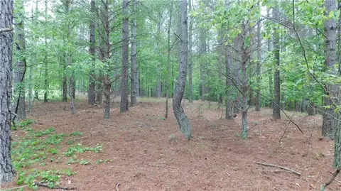 5 59 Acres Larmon Forks Rd, Dahlonega, GA 30533