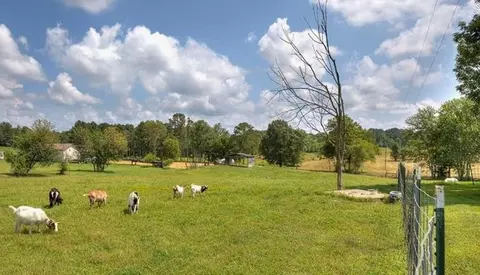 119 Spring Place Rd, Resaca, GA 30735 photo 9
