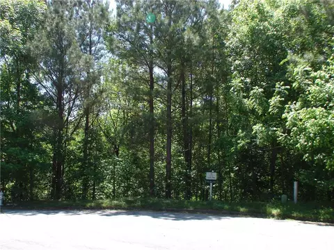 920 Chivencester Ct, Suwanee, GA 30024