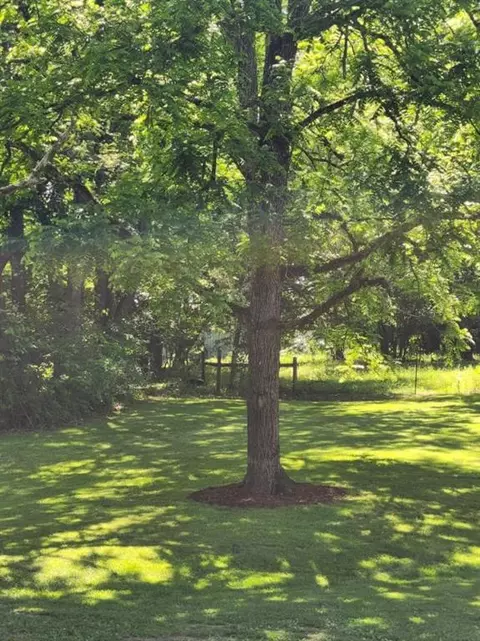 4131 Keith Valley Rd, Cohutta, GA 30710