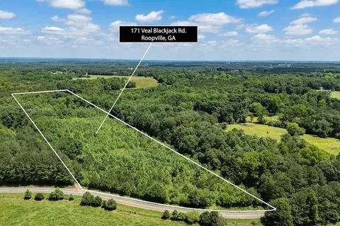 171 Veal Blackjack Rd, Roopville, GA 30170