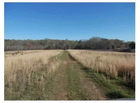 1401 Dixie Rd, Covington, GA 30014 photo 2