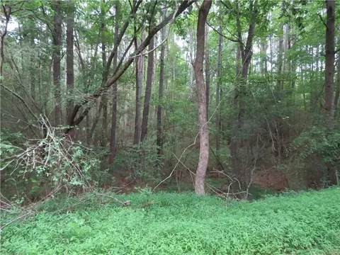 0 Parrish Rd, Cedartown, GA 30125 photo 3