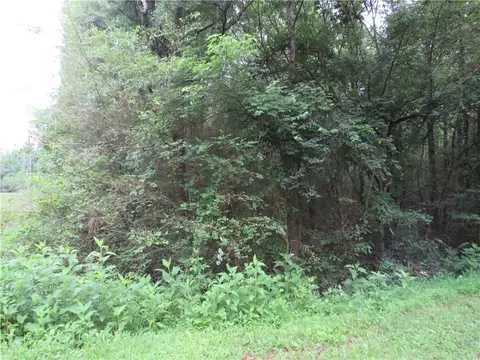 0 Parrish Rd, Cedartown, GA 30125 photo 6