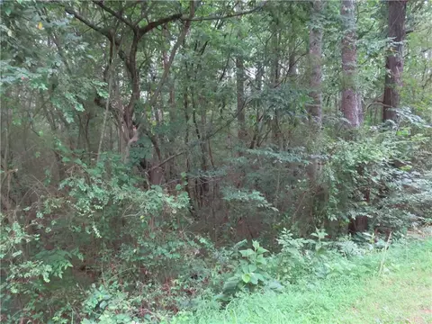 0 Parrish Rd, Cedartown, GA 30125 photo 7