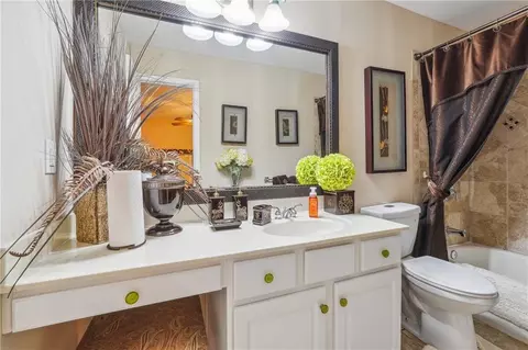 2997 Asteria Pte, Duluth, GA 30097 photo 24