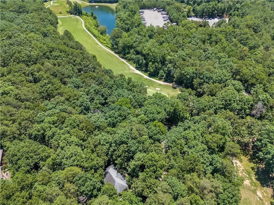 View/Area - 117 Banyon Ct, Waleska, GA 30183 photo 4 of 8