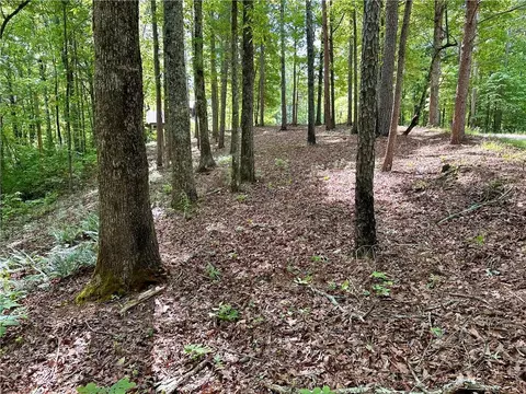 1749 Elk # B, Talking Rock, GA 30175