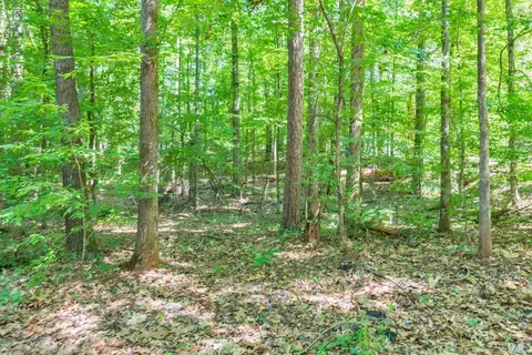 301 Canterbury Dr, Lagrange, GA 30241 photo 6