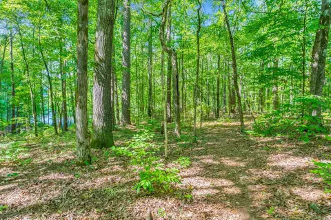 301 Canterbury Dr, Lagrange, GA 30241 photo 7