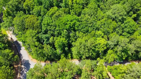 301 Canterbury Dr, Lagrange, GA 30241 photo 3