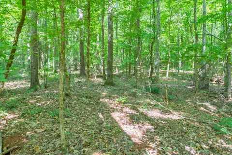 303 Canterbury Dr, Lagrange, GA 30241 photo 5